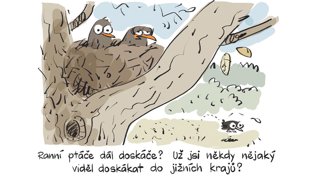 KEMEL: Příslovím se nedá věřit